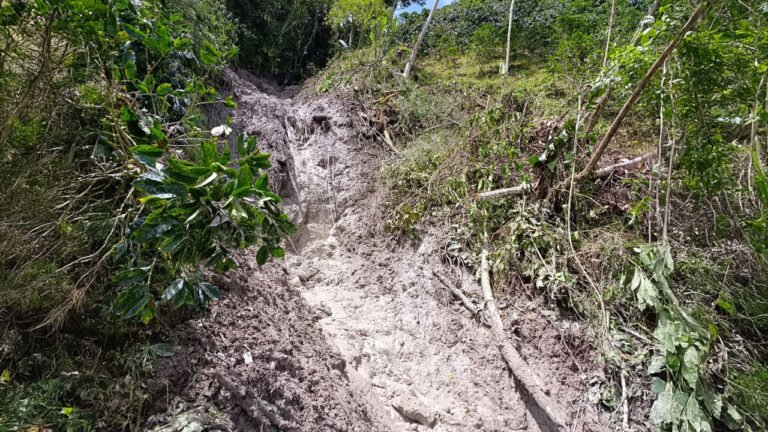 Alerta en Charguayaco por amenaza de avalancha