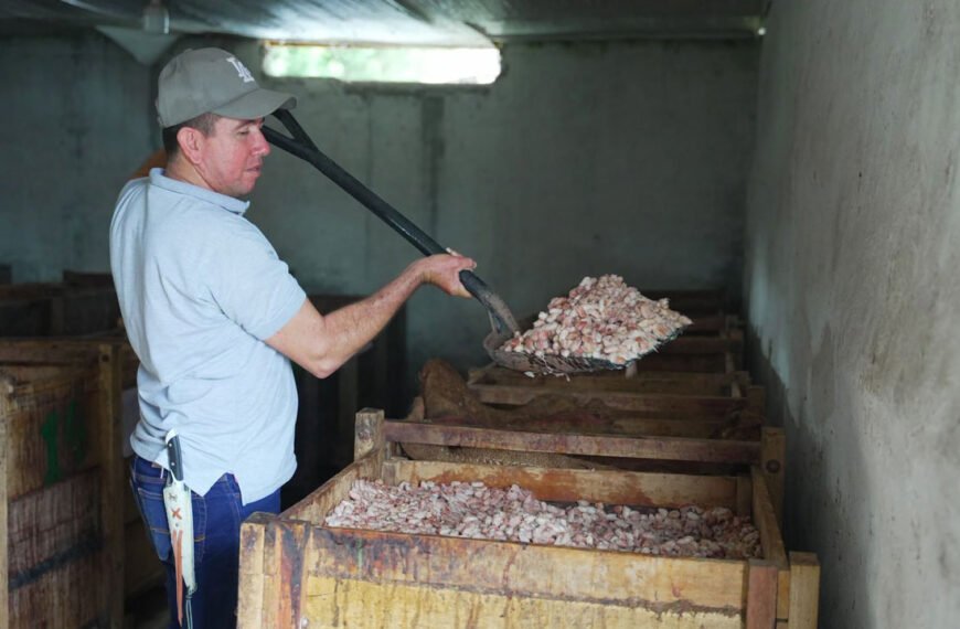 Biodigestores salvan los ríos del Huila