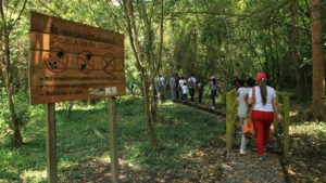 ¿El fin de un paraíso ambiental? Marengo, el&hellip;