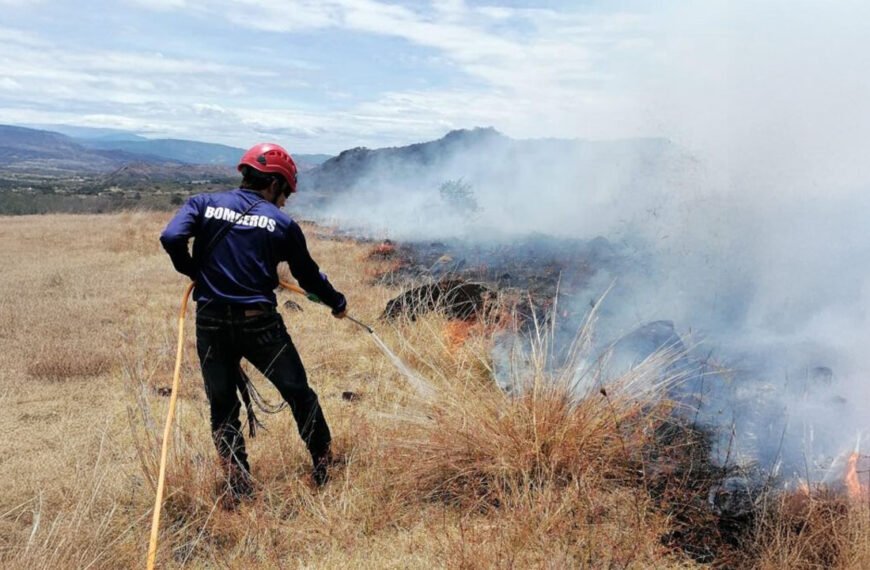 Quemas agrícolas arrasan más de&hellip;