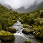 El primer Museo Vivo del Agua de Latinoamérica desafía la historia del Macizo