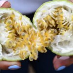 Ruta de la cholupa: turismo y sabor en Rivera
